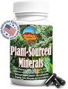 Fulvic Humic Mineral Blend of Plant-Sourced Trace Minerals, Electrolytes, Gut Health, Cognitive & Immune Support, Pure Vitality Formula for Strength - - 120 Capsules 2