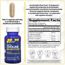 Acetylcholine Brain Food - Acetyl L-Carnitine & Alpha GPC Supplement - Supports Production of Acetylcholine - Neurotransmitter Supplement for Cognitive Function - 120 Capsules 4