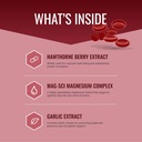 approved-science-bloodsyl---supports-blo-2.jpg