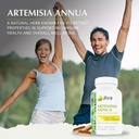 jiva-botanicals-artemisia-annua-sweet-wo-5.jpg