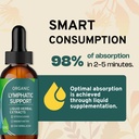lymph-detox-cleanse-immune-support-lymph-5.jpg