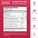 mother-s-promise-lactation-supplement-gu-2.jpg