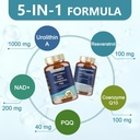 totaria-nad-supplement-for-women-men-120-6.jpg