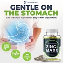 zinc-maxx-100-capsules-zinc-gluconate-im-2.jpg