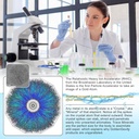 4000-ppm-bioactive-atomic-colloidal-silv-2.jpg