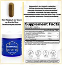 natural-stacks-acetylcholine-brain-food--5.jpg