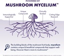 host-defense-mycobotanicals-brain-energy-4.jpg