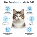 taurine-for-cats-cat-taurine-supplement--2.jpg