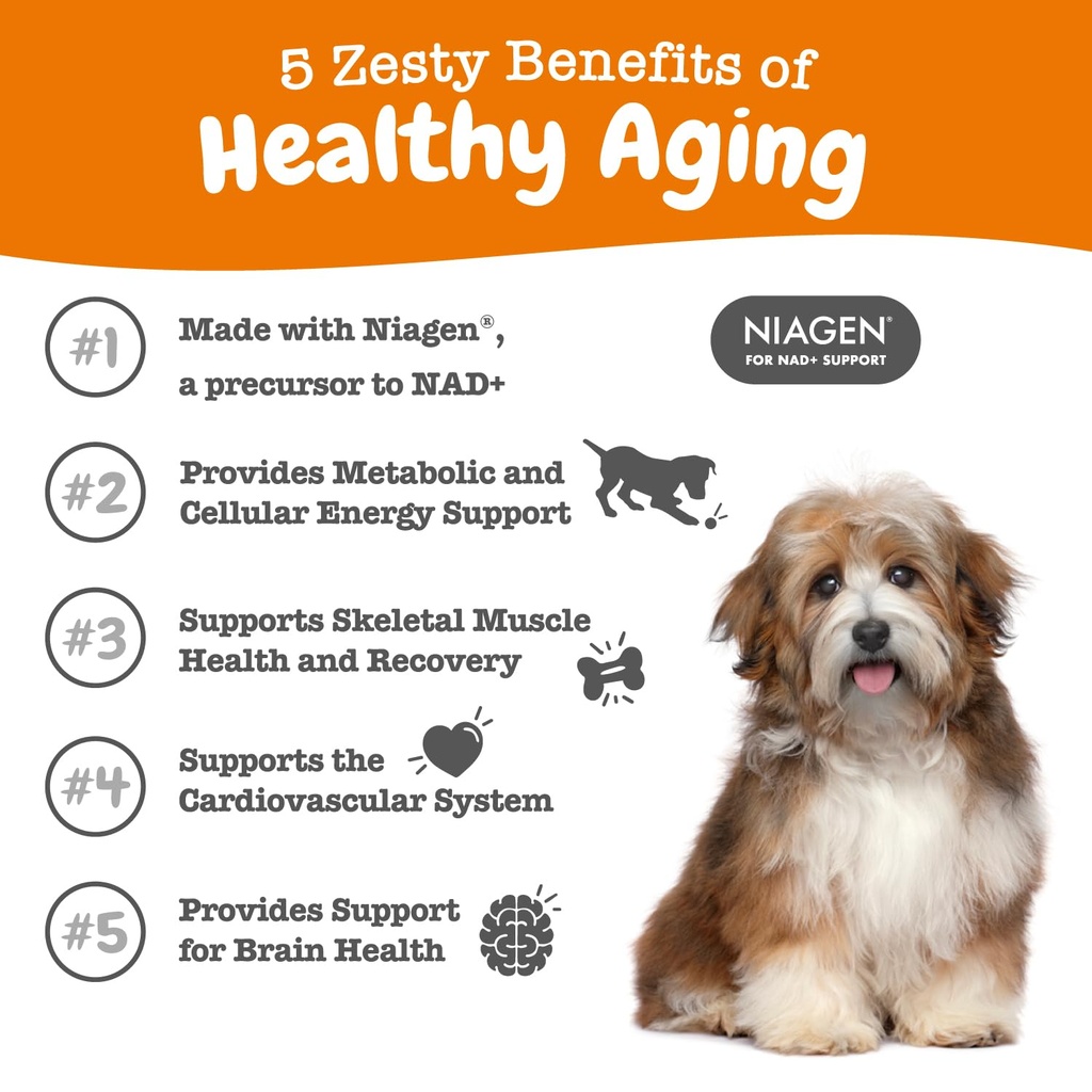zesty-paws-nad-precursor-supplement-for--3.jpg