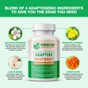 adaptive-response-brain-supplements-for--2.jpg