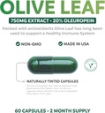 save-4-12-off---herbal-immune-bundle---o-3.jpg
