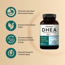 naturebell-dhea-50mg-for-men-women-300-c-3.jpg