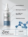 horb-ach-liquid-zinc-drops-2-oz-with-org-4.jpg