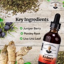 christopher-s-original-formulas-kidney-e-3.jpg