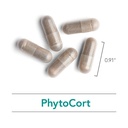 nutricology-phytocort-supplement-respira-5.jpg