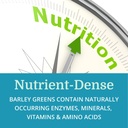 alkagreen-powder-best-process-alkaline-n-5.jpg