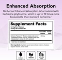 theralogix-berberine-enhanced-absorption-2.jpg