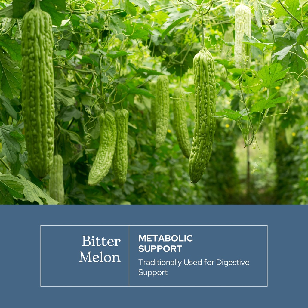 eclectic-herb-bitter-melon-capsules-dige-3.jpg