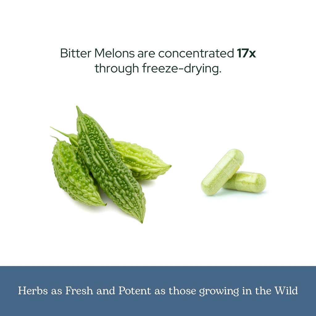 eclectic-herb-bitter-melon-capsules-dige-6.jpg