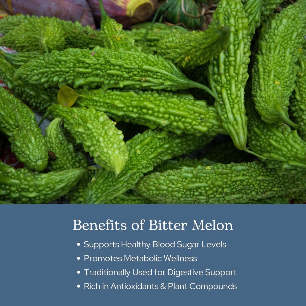 eclectic-herb-bitter-melon-capsules-dige-4.jpg