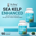 dr-berg-sea-kelp-enhanced-iodine-200-mcg-4.jpg