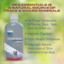 wellgenix-sea-essentials-liquid-mineral--4.jpg