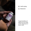 thorne-resveracel-60-capsules-memoractiv-5.jpg