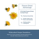 eclectic-herb-raw-freeze-dried-dandelion-5.jpg