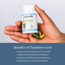 eclectic-herb-raw-freeze-dried-dandelion-4.jpg