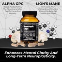santa-cruz-paleo-nootropic-capsules-lion-5.jpg