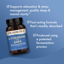 dr-mercola-l-theanine-plus-gaba-supports-3.jpg