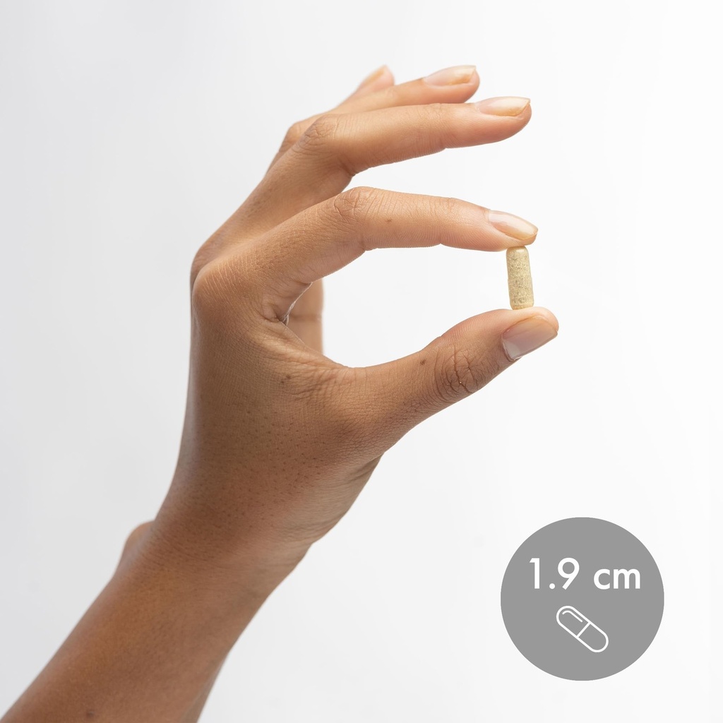 dr-mercola-l-theanine-plus-gaba-supports-6.jpg