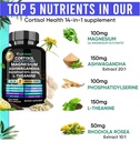 adndale-cortisol-supplements-for-women-a-2.jpg