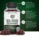 irish-sea-moss-gummies-3000mg-formulated-3.jpg