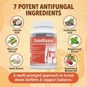 balance-one-candida-cleanse-yeast-suppor-2.jpg