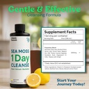 atlantic-naturals-1-day-colon-cleanse-fu-3.jpg