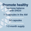 life-extension-dhea-50-mg-hormone-balanc-5.jpg