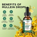 2-pack-mullein-drops-for-lungs-1200mg-mu-2.jpg