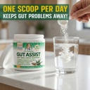 leaky-gut-support-powder-l-glutamine-gut-4.jpg