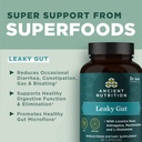 ancient-nutrition-gut-health-supplement--3.jpg