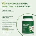 rhodiola-rosea-capsules-500mg-natural-ad-4.jpg