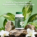 rhodiola-rosea-capsules-500mg-natural-ad-3.jpg