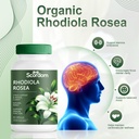 rhodiola-rosea-capsules-500mg-natural-ad-5.jpg