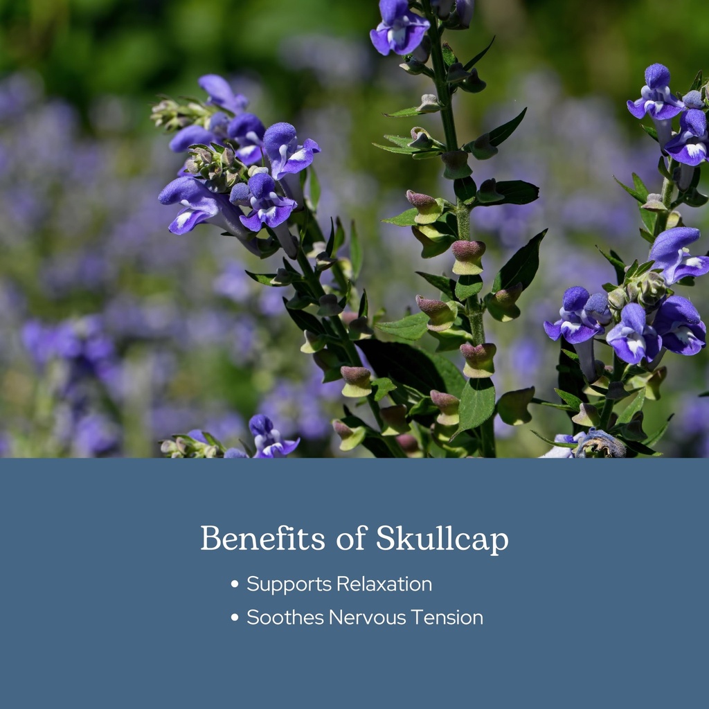 eclectic-herb-skullcap-capsules-natural--4.jpg