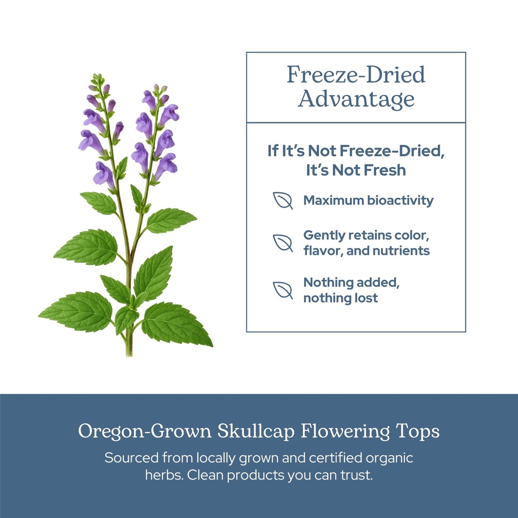 eclectic-herb-skullcap-capsules-natural--5.jpg