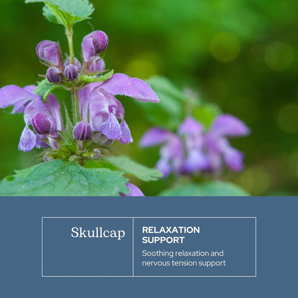 eclectic-herb-skullcap-capsules-natural--3.jpg