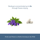 eclectic-herb-skullcap-capsules-natural--6.jpg
