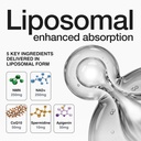 toniiq-nmn-12-in-1-complex-5-liposomal-i-4.jpg