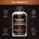 effective-nutra-mushroom-gummies-saffron-2.jpg