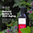 au-natural-organics-milk-thistle-seed-oi-2.jpg